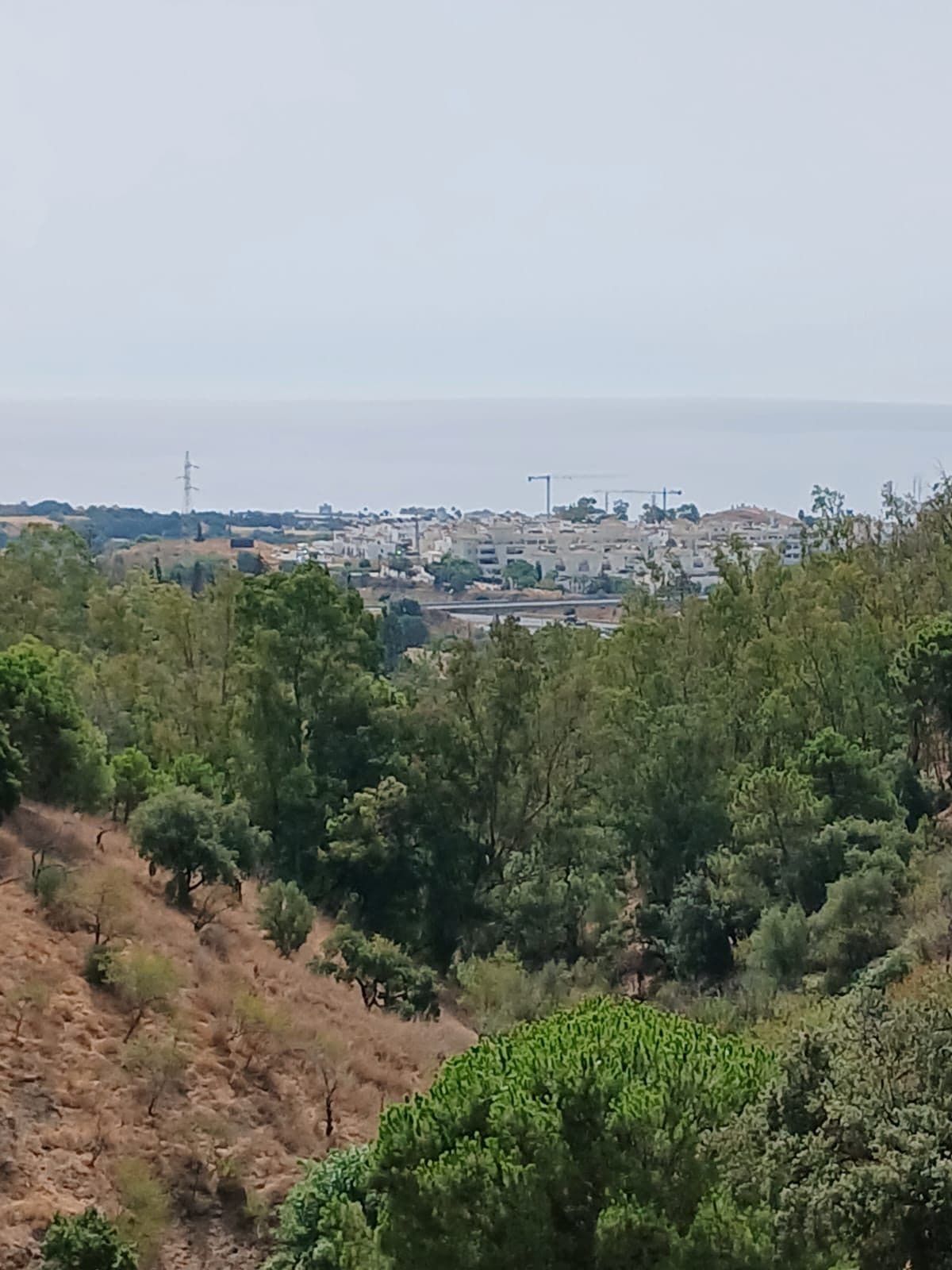 Finca - Cortijo in Estepona