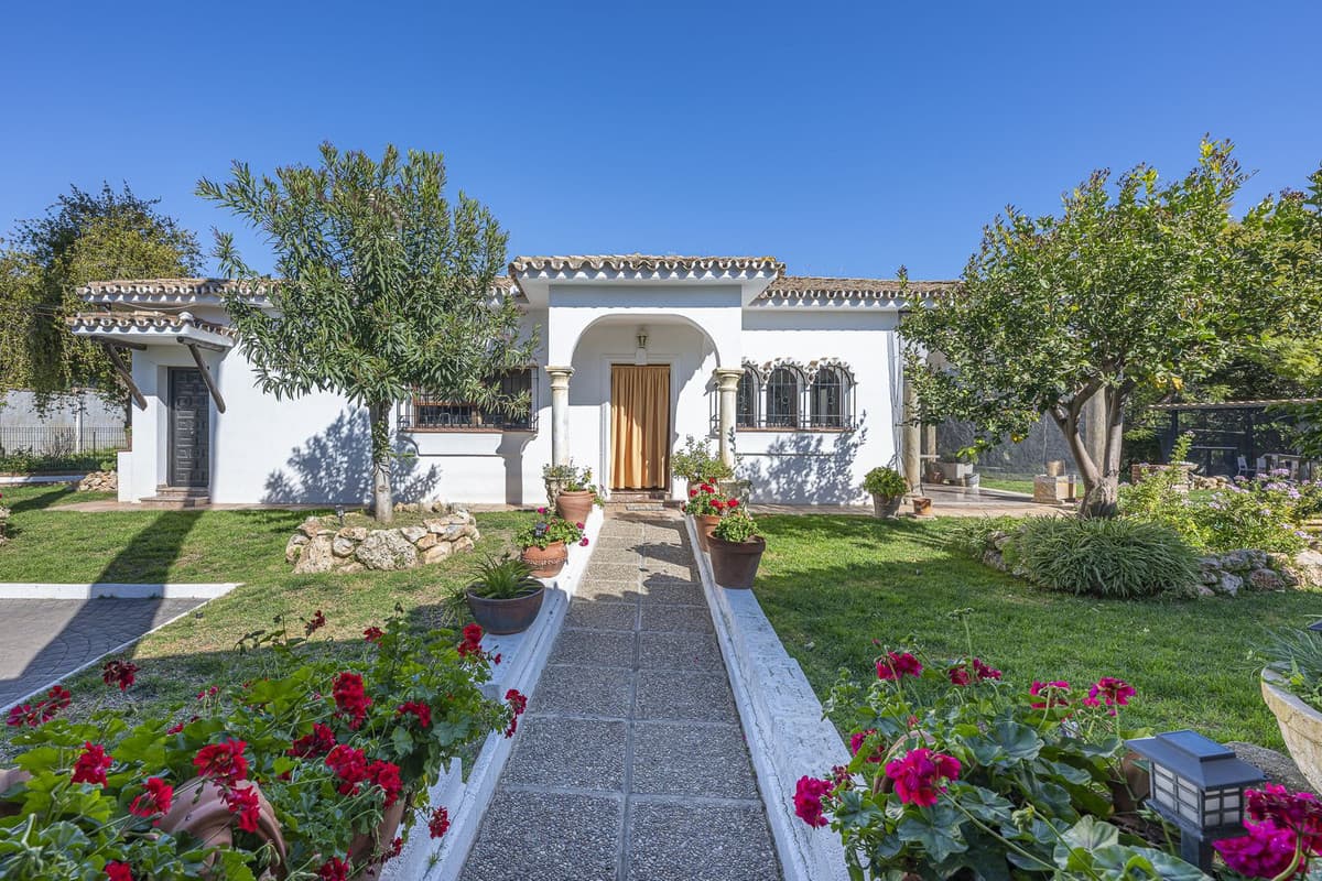 Detached Villa in Guadalmina Alta