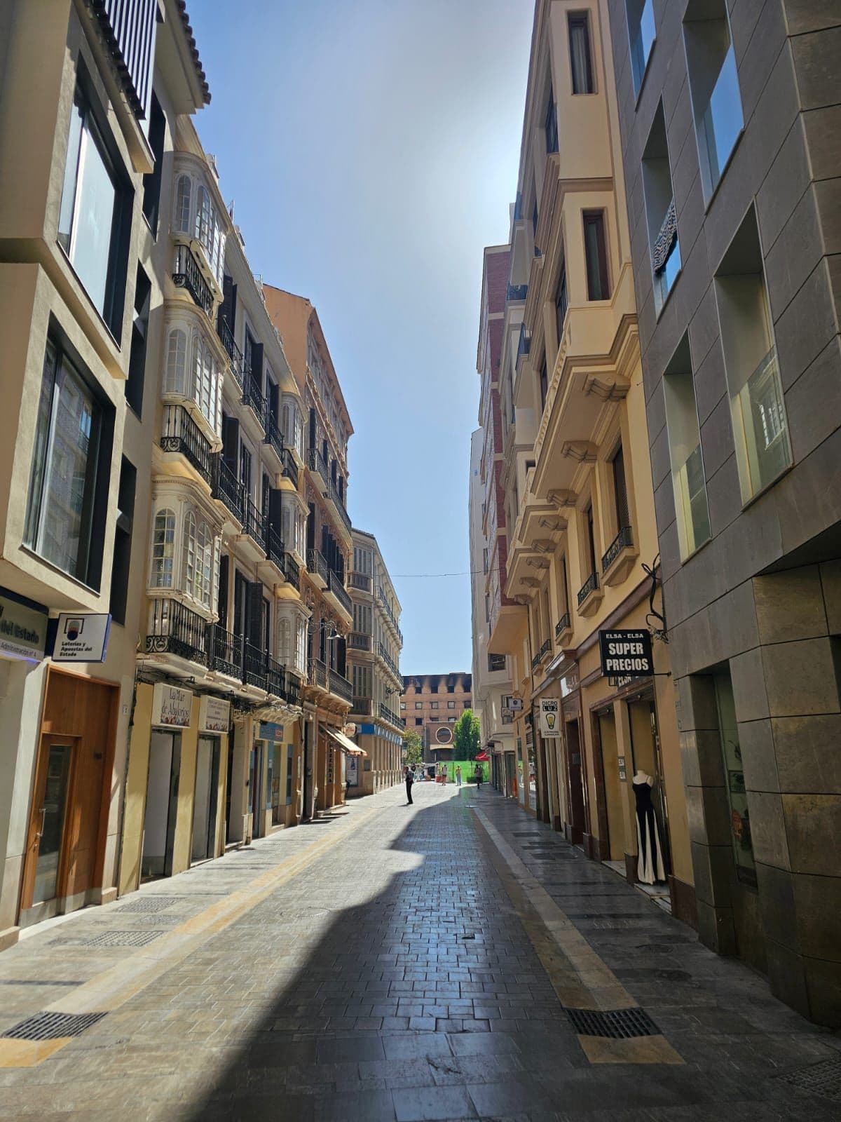 Middle Floor Apartment in Málaga Centro