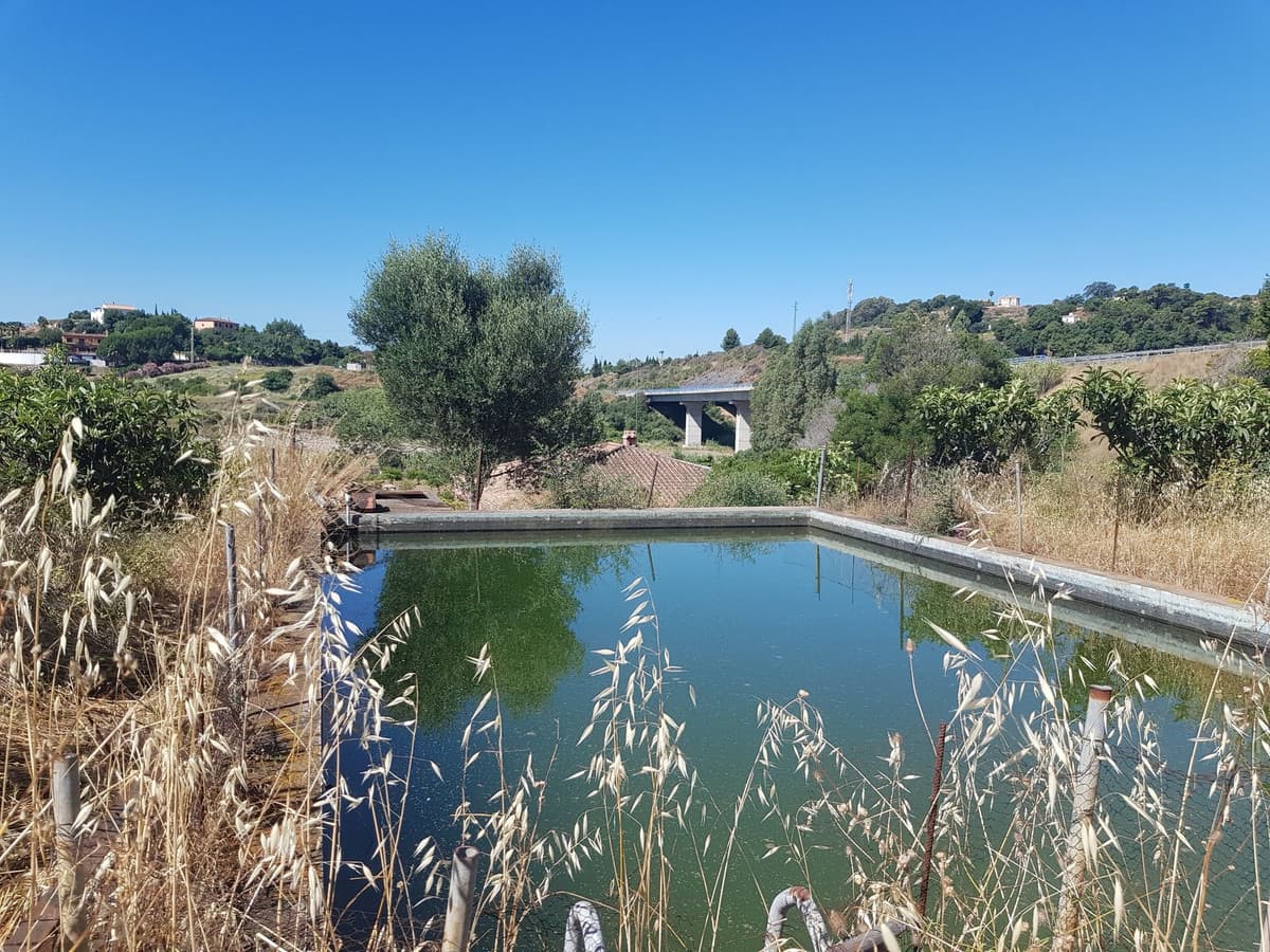 Finca - Cortijo in Estepona