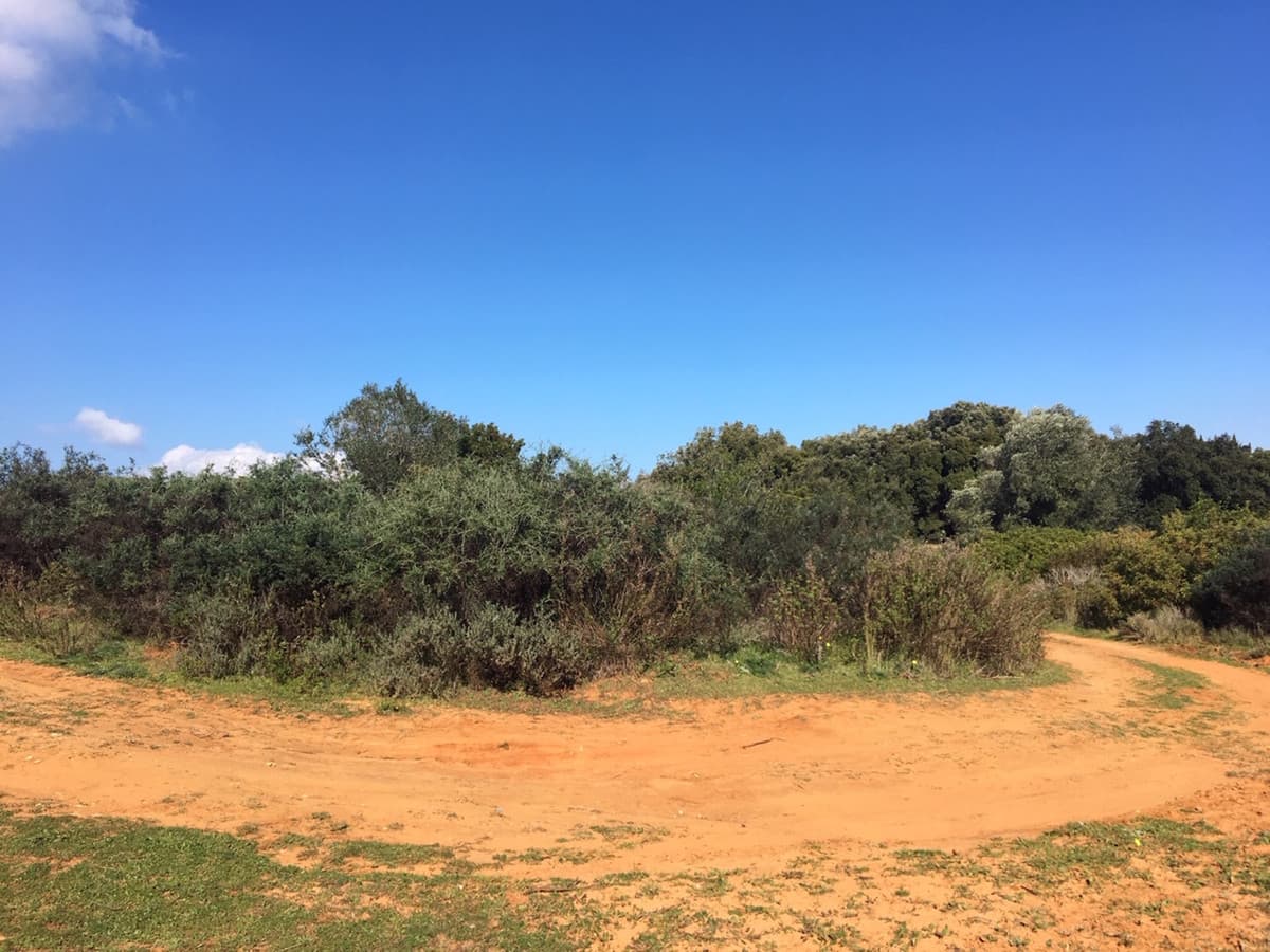Land in Manilva