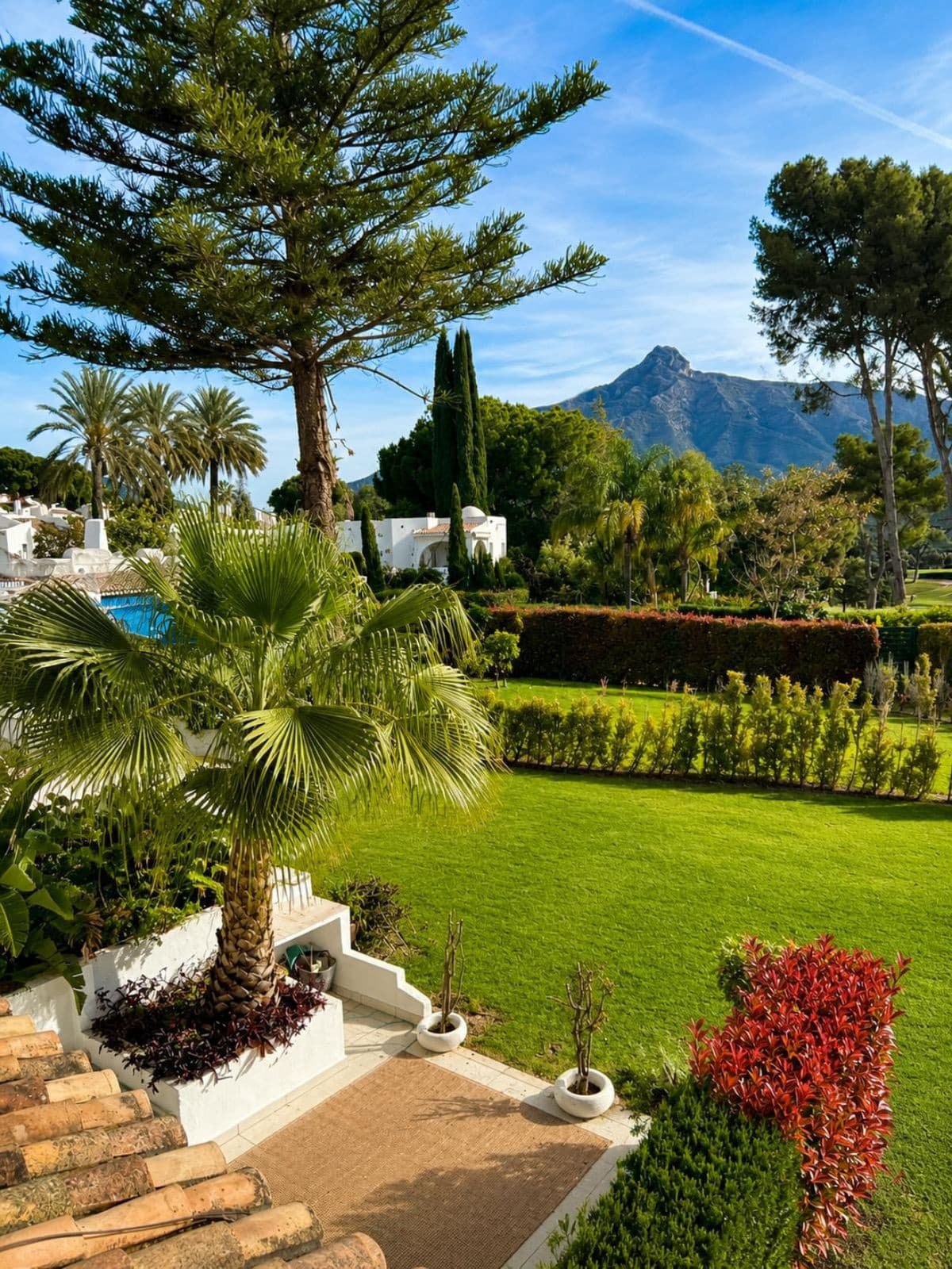Bliźniak in Marbella